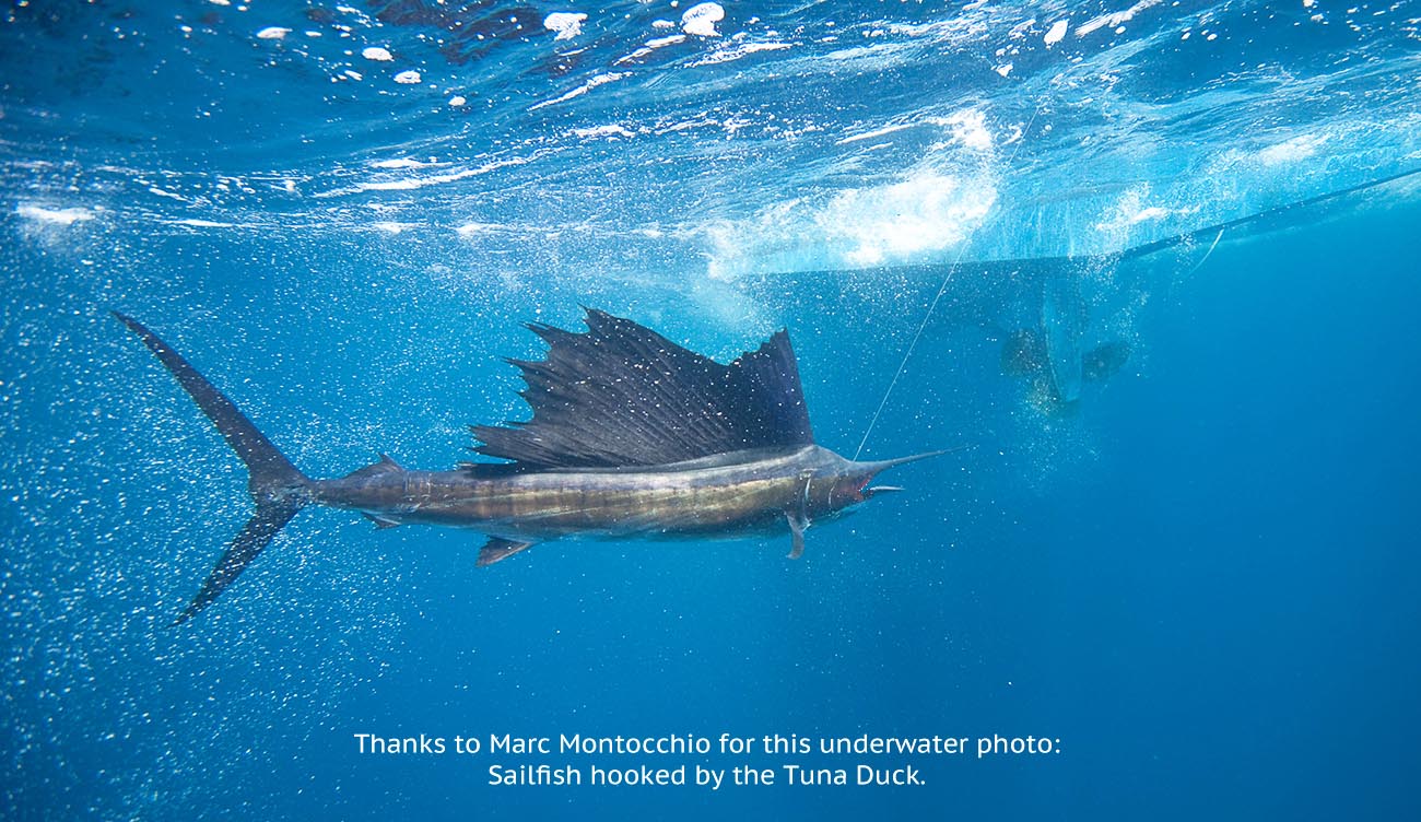 photo of a sailfish underwater hooked by Tuna Duck
