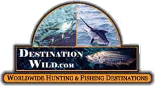 Destination Wild