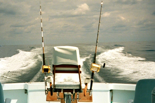 fighting chair and wake