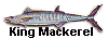 king mackerel