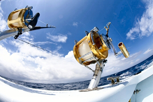 reels
