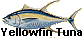 yellowfin tuna